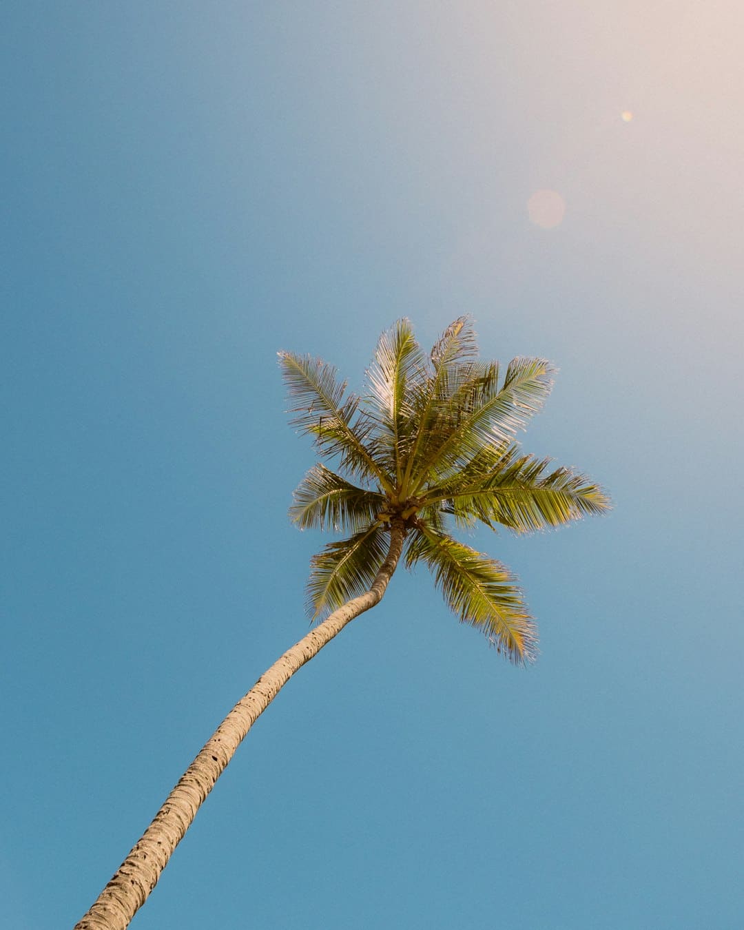 https://static.ws.126.net/163/frontend/images/2022/empty.png